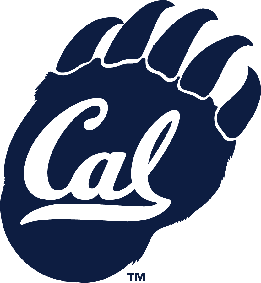 California Golden Bears 1982-2013 Secondary Logo diy iron on heat transfer